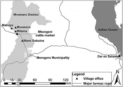 Use of a Participatory Method for Community-Based Brucellosis Control Design in Agro-Pastoral Areas in Tanzania